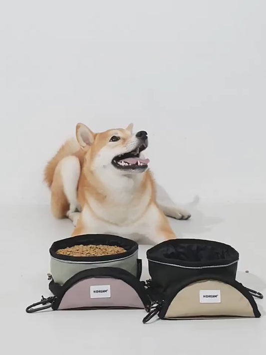 Foldable Waterproof Nylon Pet Bowl