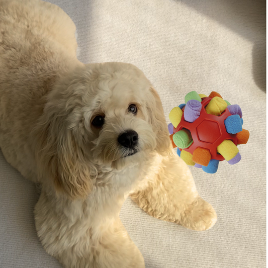 Interactive Snuffle Ball Toy – Mental Stimulation & Anxiety Relief